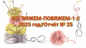 СП "ВЯЖЕМ-ПОВЯЖЕМ-1 //2025 год//Отчёт № 25