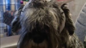 Любое дело нужно делать с полной самоотдачей......!😆