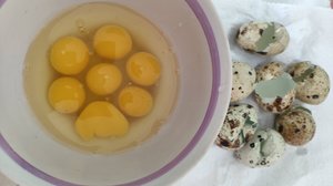 Утро. Перепелиное яйцо👌. Завтрак. О дружбе. Вчера пообщалась с подружкой ❤