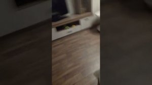 Плакса лежит на диване