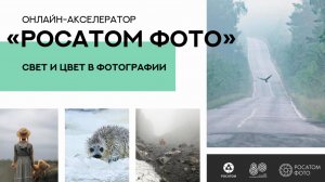 Вебинар №2. Свет и цвет в фотографии. 01.11.2025