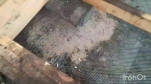 Строю курятник в деревни своими силами. ч.3 🤠. #делакрестьянские