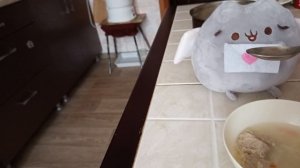 Кот Пушин кушает супчик. Повторяйте за ним.