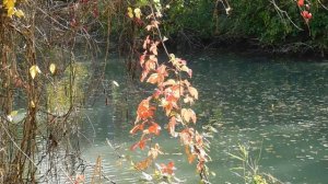 30=10=2025 СОЛНЕЧНЫЙ ОСТРОВ. КРАСНОДАР (104)