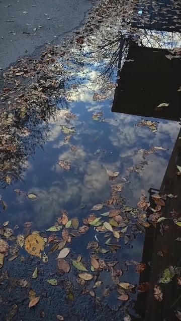 Осень очень красивая в отражении 💖👍#осень смотреть онлайн