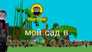 мой сад в grow a garden(будем делать конкурс