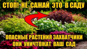 ЭТИ РАСТЕНИЯ ПРЕВРАТИЛИ ДАЧУ В АД - жалею, что посадила
