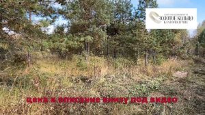 Продается земельный участок 35 соток в сосновом бору с собственным выходом в лес, деревня Коровино