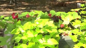 События дня (31.10.2025)