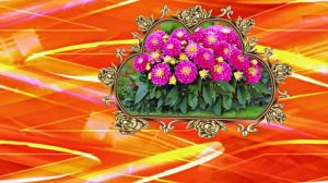 С Днём Рождения! Осеннее поздравление 1! Георгины для Ирины от Мудрого Кота Тимофея!