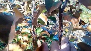 Предворительный итог сезона!