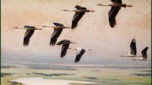 Вебинар «Время и вечность в стихотворении Расула Гамзатова „Журавли”»