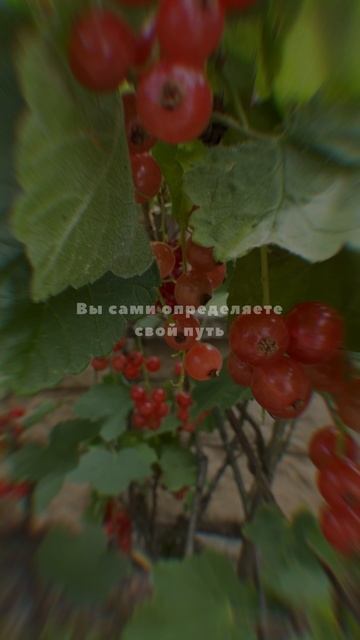 Ты не ленишься — ты просто выбираешь правильный момент для рывка