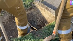 В сквере «Монетка» завершают установку системы автополива