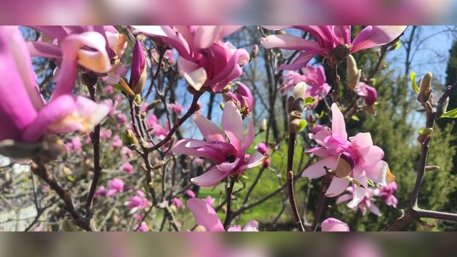 Смиряйся.Песня.