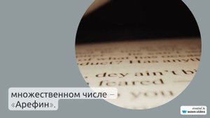 Раскрытие тайн фамилии Арефина: исследование происхождения, истории и значения, а также склонение