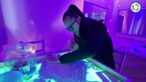 Игры с детьми с ОВЗ на развитие сенсорного восприятия