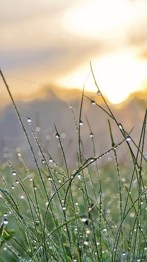 Лети за мной...