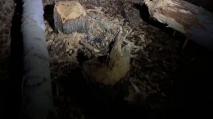 Лесорубы !!!