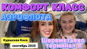 СЮРПРИЗ для мамы 🤩// Аэропорт ШЕРЕМЕТЬЕВО терминал В 😉 АЭРОФЛОТОМ в Калининград КОМФОРТ класс🔥