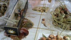 Урожайность лука шалота из семян (чернушки)