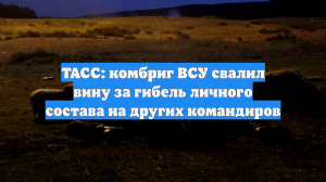 ТАСС: комбриг ВСУ свалил вину за гибель личного состава на других командиров