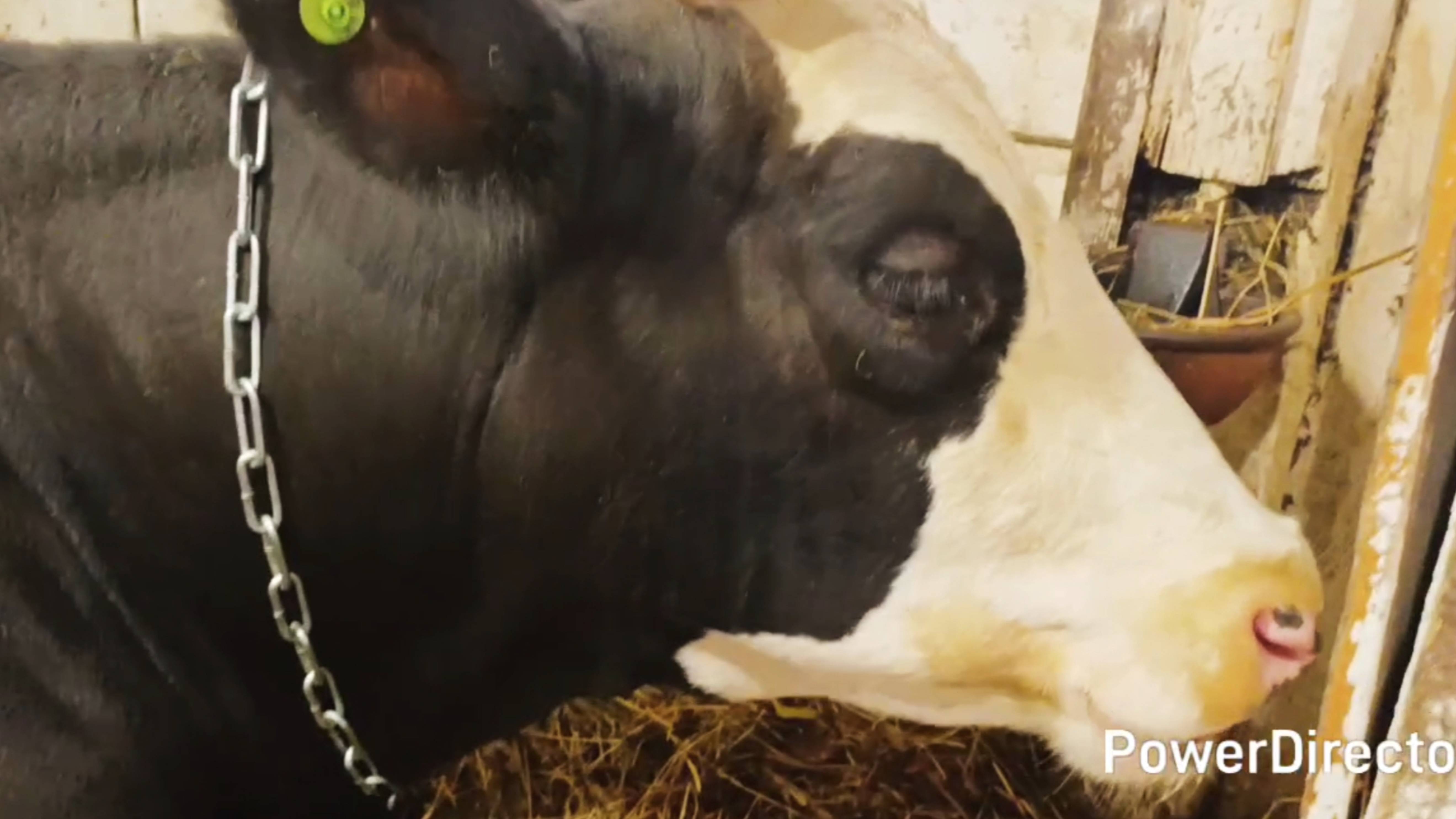 На свой страх и риск отпустила Сашу в город 