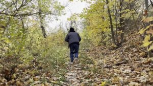 3DEJAVU - Принцип домино (Cover)