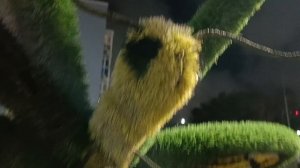 31.10.2025.
ТОТОШКИН ДЕНЬ 
РОЖДЕНИЯ 
🎉🎉🎉