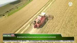 В Ингушетии продолжается уборочная кампания