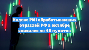 Индекс PMI обрабатывающих отраслей РФ в октябре снизился до 48 пунктов