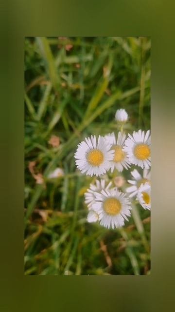 Как трудно правду говорить...