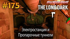 Электростанция и Пропарочные туннели | The Long Dark #175