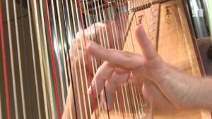 В Ярославле впервые состоялся осенний арфовый фестиваль