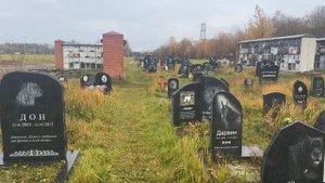 Кладбище домашних любимцев в Петербурге. Могила Дона - питомца Александра Розенбаума.