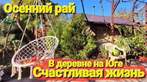 Жизнь самых успешных и богатых деревенских блогеров России. Секрет успеха