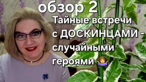 Тайные встречи с ДОСКИНЦАМИ-случайными героями