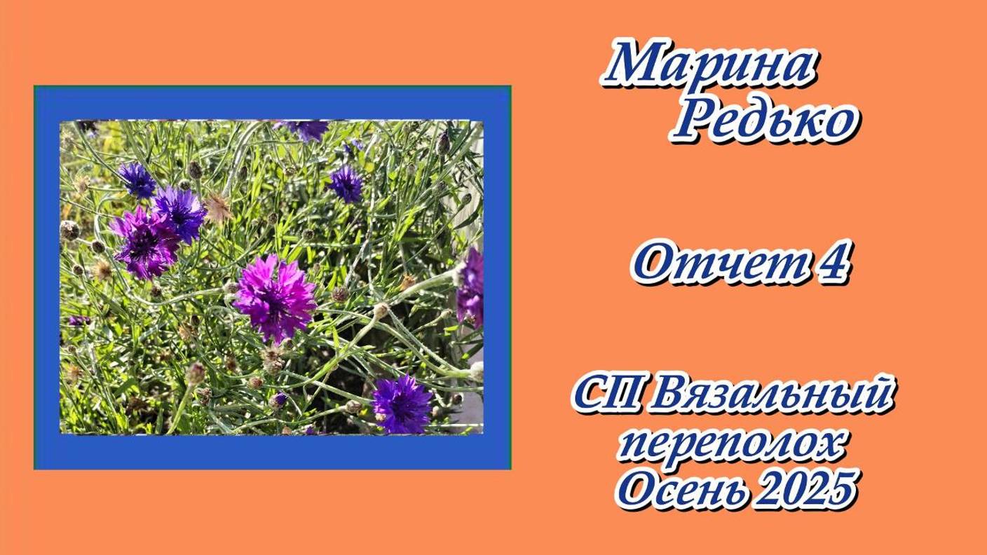 СП "Вязальный переполох. Осень 2025" / Отчет 4 смотреть онлайн