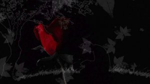 Он хотел жить