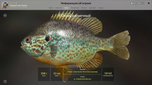 ТРОФЕЙ ОКУНЬ СОЛНЕЧНЫЙ!!!СЕВЕРСКИЙ ДОНЕЦ - РУССКАЯ РЫБАЛКА 4