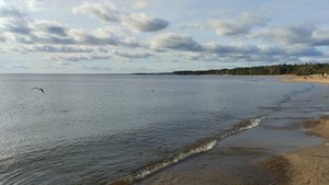 Пляж Ласковый _ Солнечный