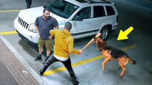 ЛЮДИ, КОТОРЫЕ НАРВАЛИСЬ НА СТОРОЖЕВЫХ СОБАК