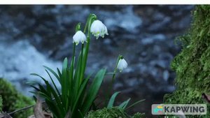 435605d0b67711f0a92feeba09ae9e87_V1