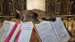 Херувимская Третьякова 3 сентября 2010г