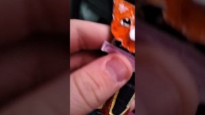 Поездка с Мартином.