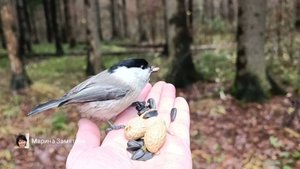 Экотерапия 49 серия.