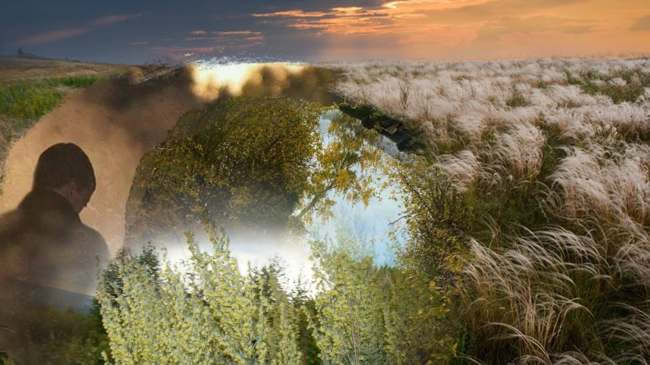 ЗАПЛУТАЛА МОЯ ДУША смотреть онлайн