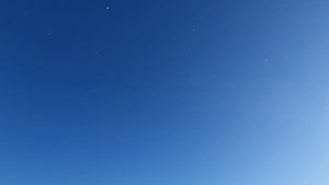 01.11.25 г. Андижанская порода голубей (2)