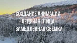 Создание анимации «Ледяная птица» - Замедленная съёмка