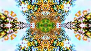 Футажи! Футаж Осенняя волшебная сказка 18! Осеннее волшебство!